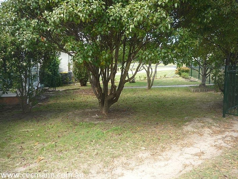 16 Greer Street, Stanthorpe QLD 4380