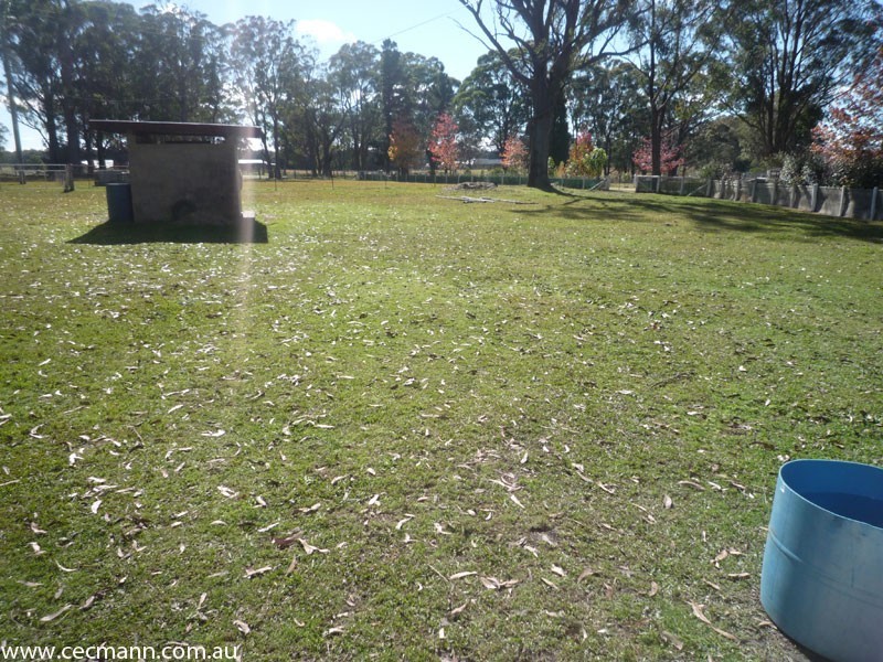 256 Rivertree Road, Stanthorpe QLD 4380