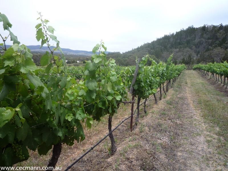 60 Zambelli  Road, Stanthorpe QLD 4380