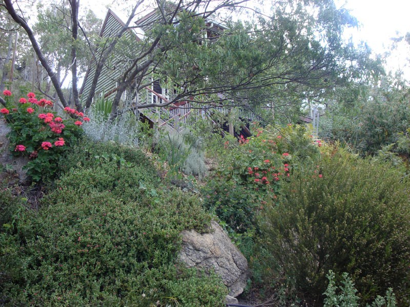 79 Lees Mountain Road, Stanthorpe QLD 4380