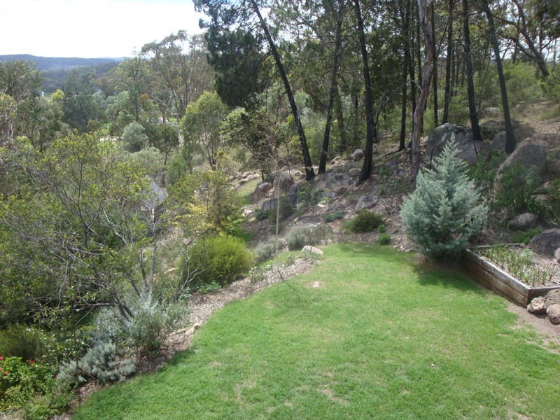 79 Lees Mountain Road, Stanthorpe QLD 4380