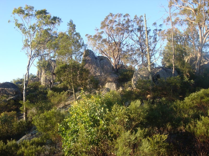 79 Lees Mountain Road, Stanthorpe QLD 4380