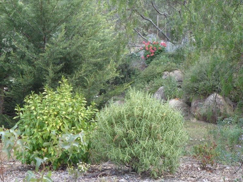 79 Lees Mountain Road, Stanthorpe QLD 4380