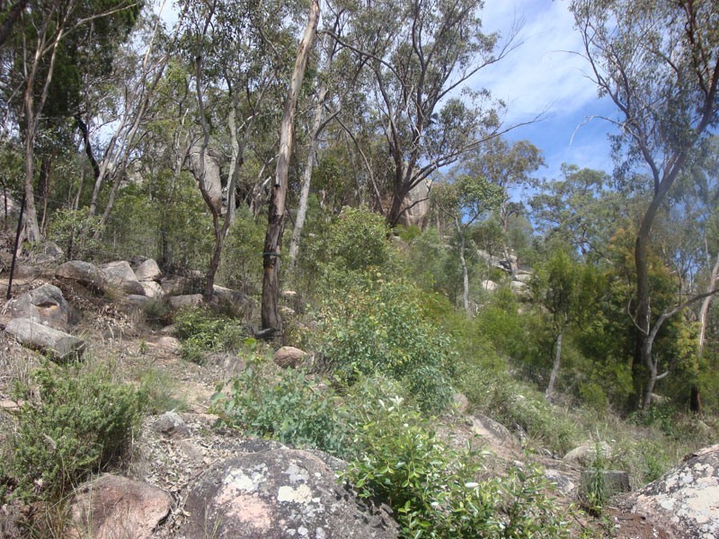 79 Lees Mountain Road, Stanthorpe QLD 4380