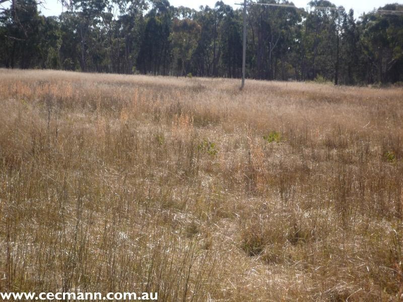 278 Boyce Road, Stanthorpe QLD 4380