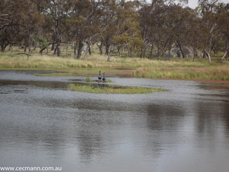 62 Glen Niven  Road, Stanthorpe QLD 4380