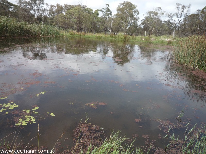 62 Glen Niven  Road, Stanthorpe QLD 4380