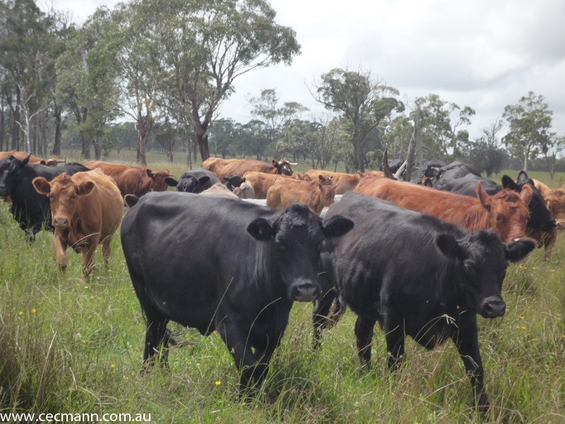 62 Glen Niven  Road, Stanthorpe QLD 4380