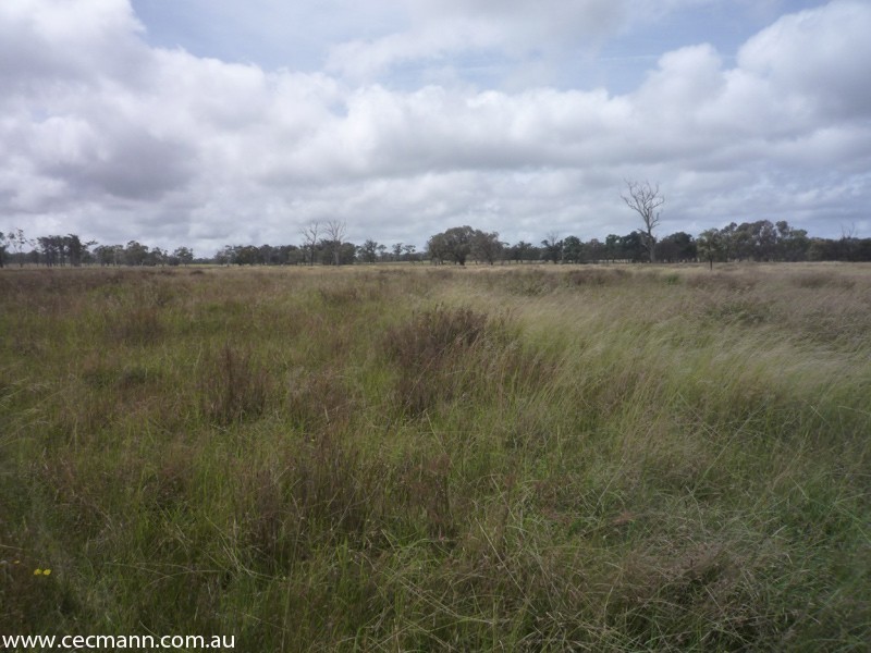 62 Glen Niven  Road, Stanthorpe QLD 4380