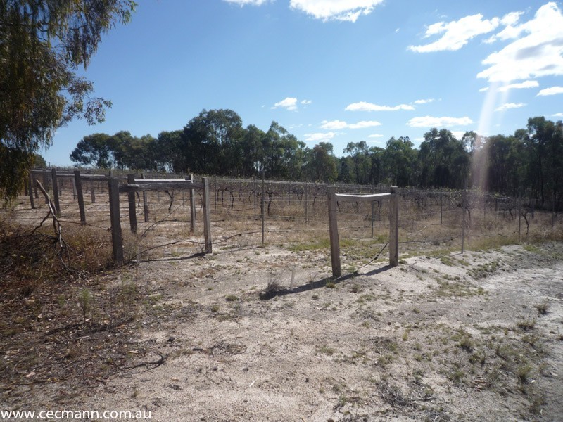 L2 Watters Road, Stanthorpe QLD 4380