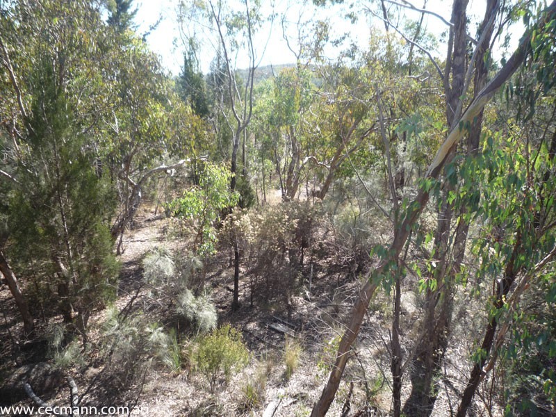 L2 Watters Road, Stanthorpe QLD 4380