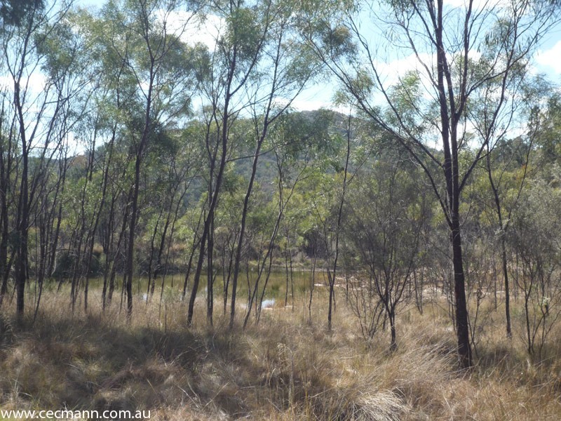 L2 Watters Road, Stanthorpe QLD 4380