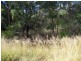 Lot 33 Pradella Road, Stanthorpe QLD 4380