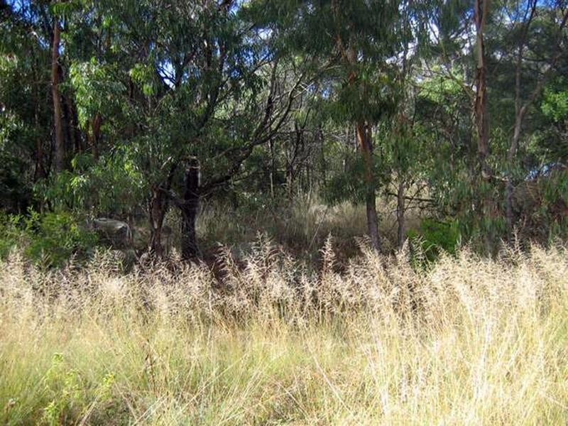 Lot 33 Pradella Road, Stanthorpe QLD 4380
