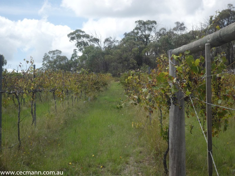 368 Townsend  Road, Stanthorpe QLD 4380