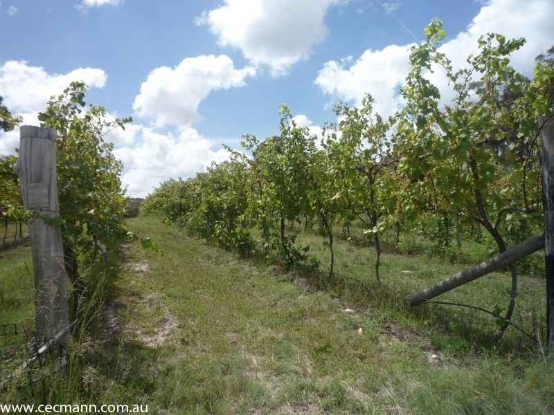 368 Townsend  Road, Stanthorpe QLD 4380