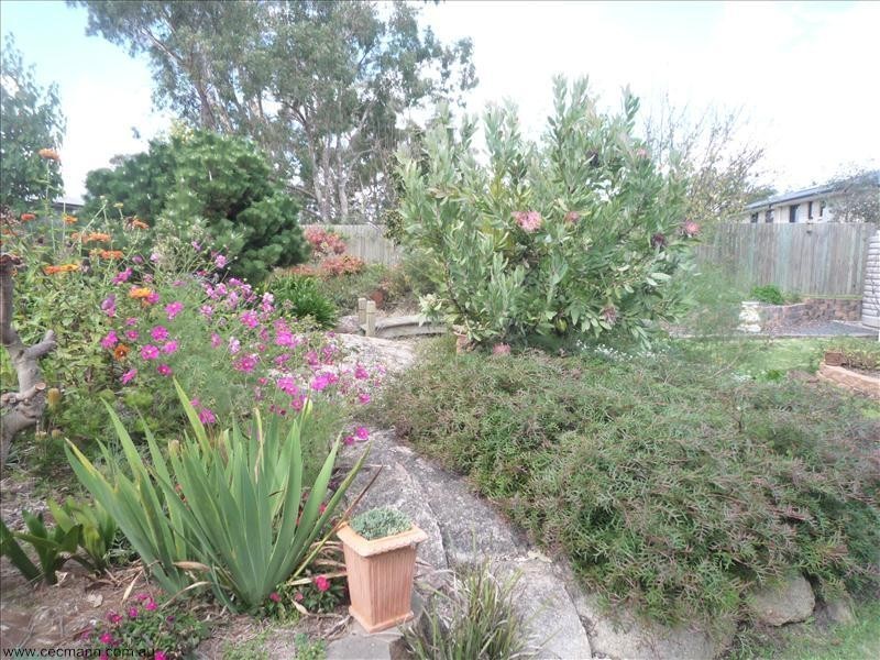 31 Britannia Street, Stanthorpe QLD 4380