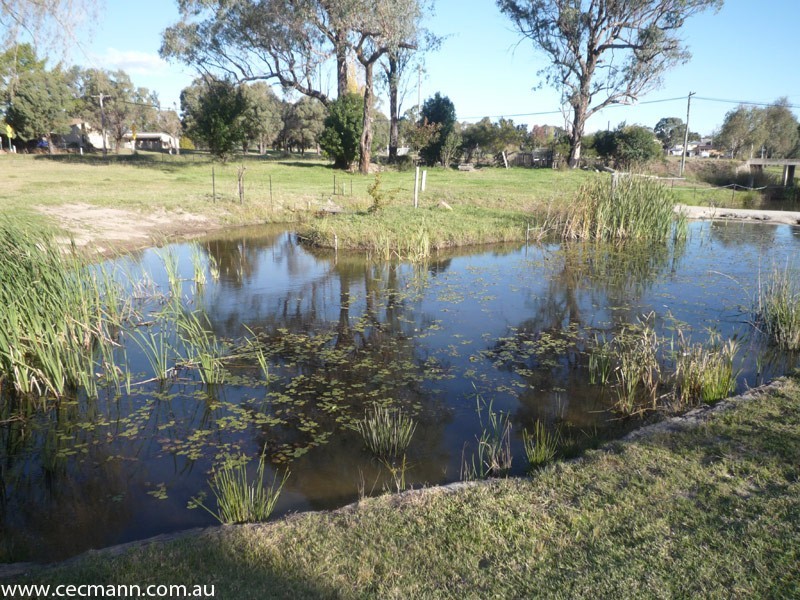 60 Connor Street, Stanthorpe QLD 4380