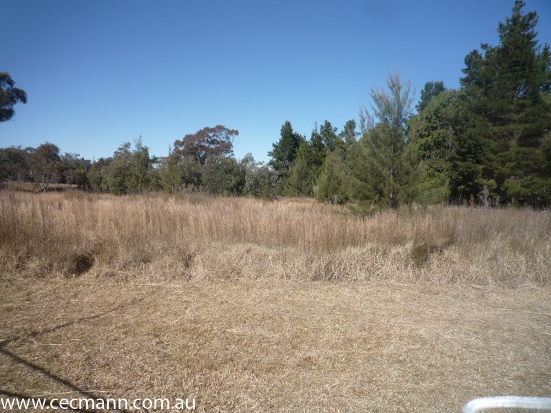 630 Jimmy Mann Road, Stanthorpe QLD 4380