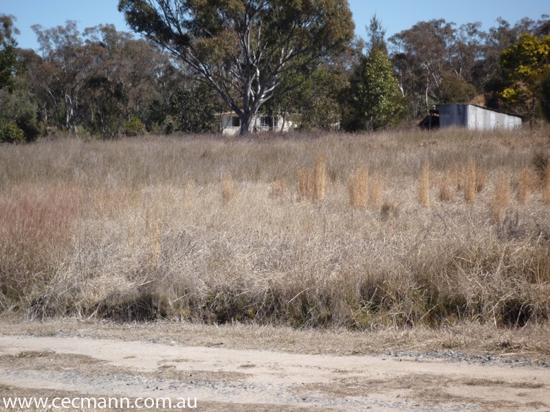 630 Jimmy Mann Road, Stanthorpe QLD 4380