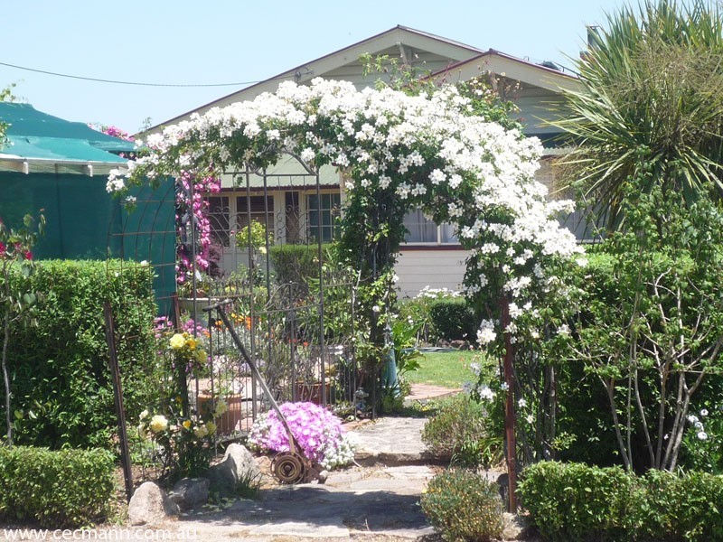 91 Granite Belt Drive, Stanthorpe QLD 4380