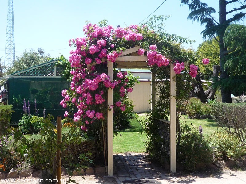 91 Granite Belt Drive, Stanthorpe QLD 4380