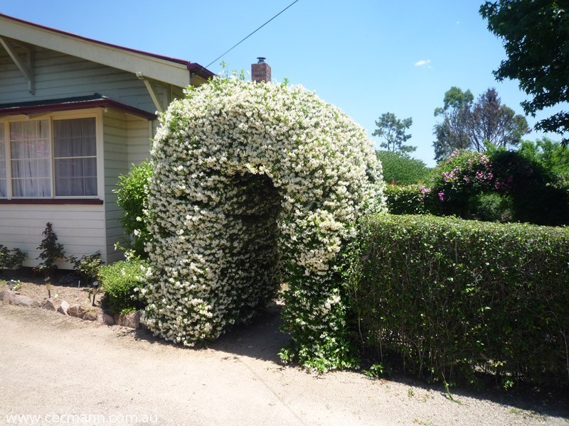 91 Granite Belt Drive, Stanthorpe QLD 4380