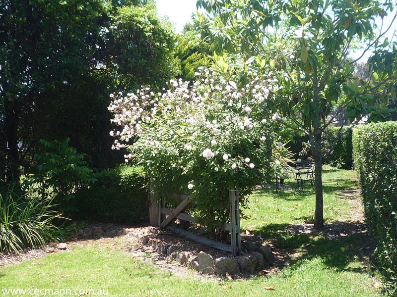 91 Granite Belt Drive, Stanthorpe QLD 4380