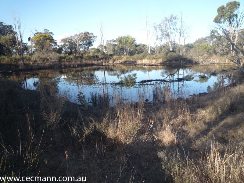 775 Amiens Road, Stanthorpe QLD 4380