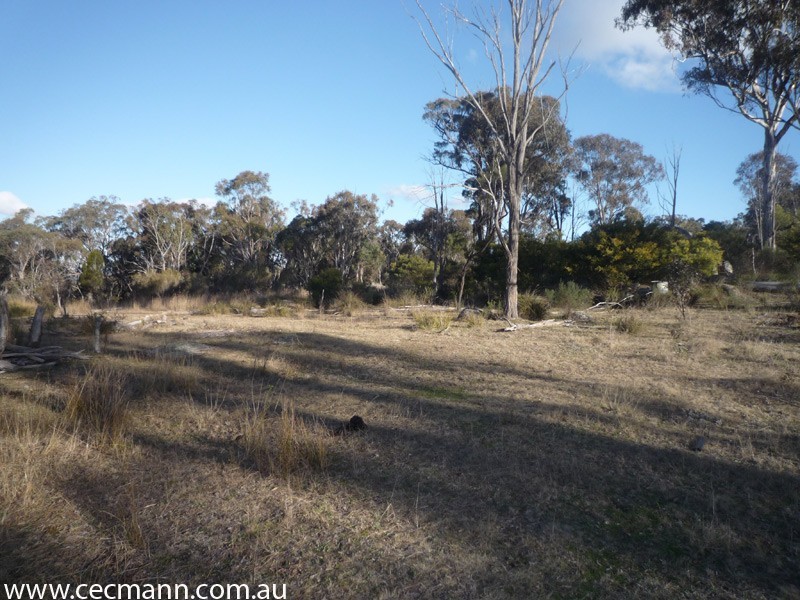 775 Amiens Road, Stanthorpe QLD 4380