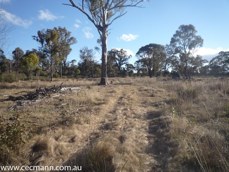 775 Amiens Road, Stanthorpe QLD 4380
