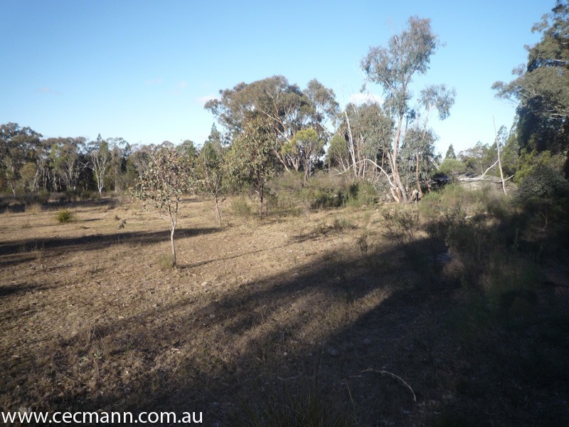 775 Amiens Road, Stanthorpe QLD 4380