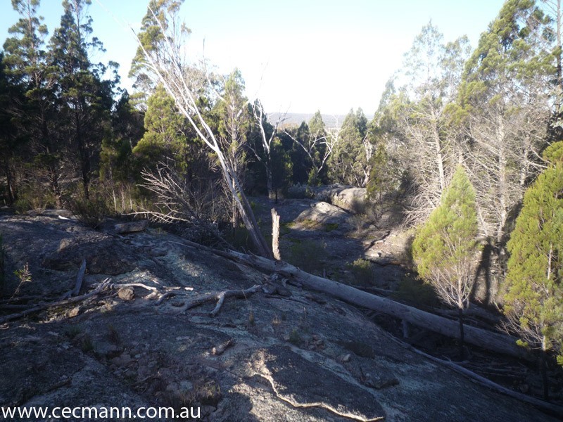 775 Amiens Road, Stanthorpe QLD 4380