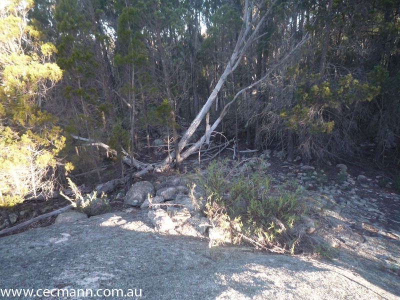 775 Amiens Road, Stanthorpe QLD 4380