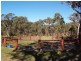 836 Eukey Road, Stanthorpe QLD 4380