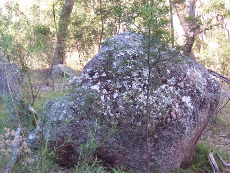 836 Eukey Road, Stanthorpe QLD 4380