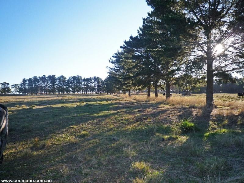 Lot 7 Amiens Road, Stanthorpe QLD 4380