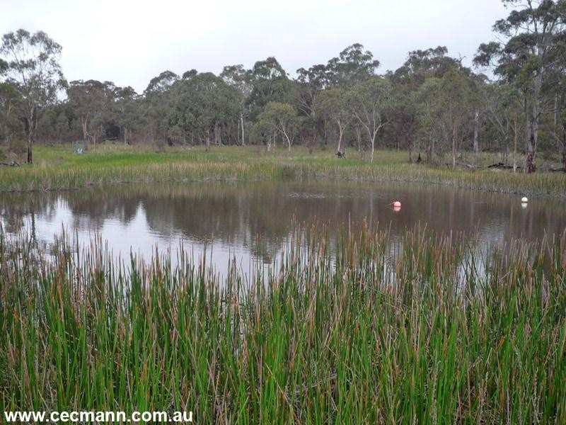 3203 Mt Lindesay Road, Stanthorpe QLD 4380