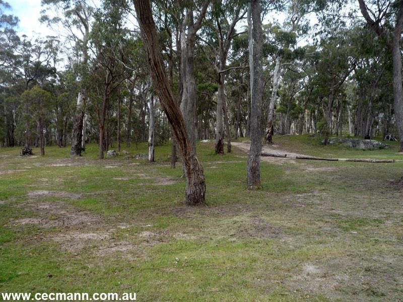 3203 Mt Lindesay Road, Stanthorpe QLD 4380