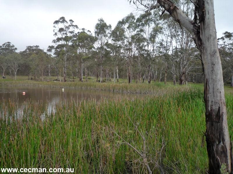 3203 Mt Lindesay Road, Stanthorpe QLD 4380
