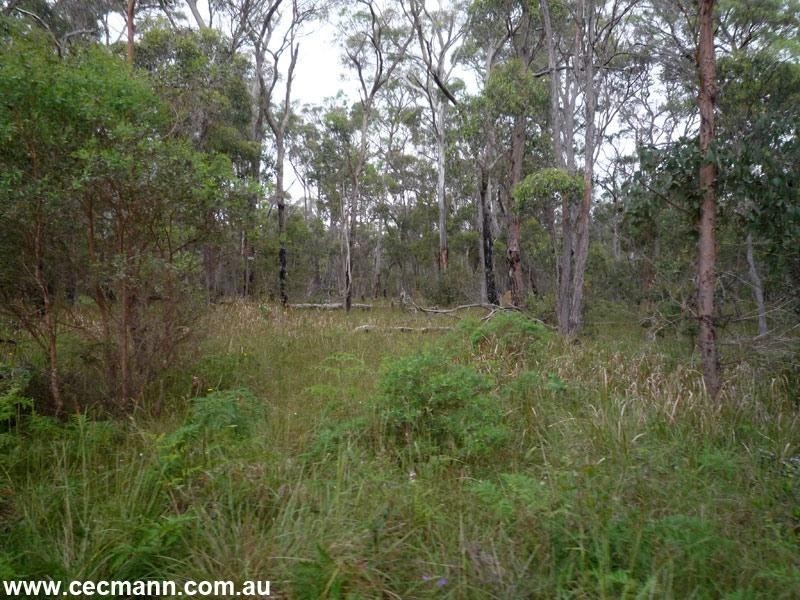 3203 Mt Lindesay Road, Stanthorpe QLD 4380