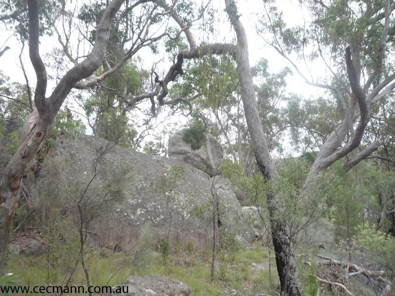 Lot 21 Eukey  Road, Stanthorpe QLD 4380