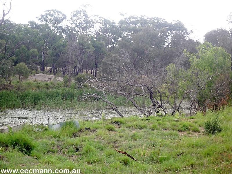 Lot 4 Texas Road, Stanthorpe QLD 4380