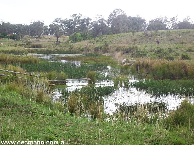 Lot 4 Texas Road, Stanthorpe QLD 4380
