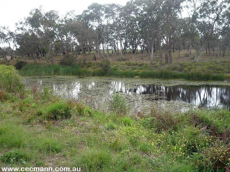 Lot 4 Texas Road, Stanthorpe QLD 4380