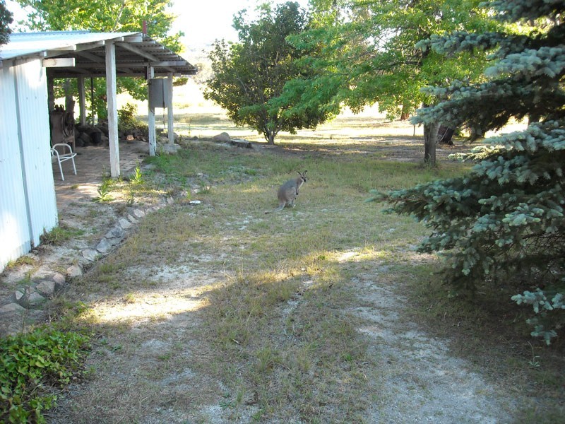 1121 Pyramids Road, Stanthorpe QLD 4380