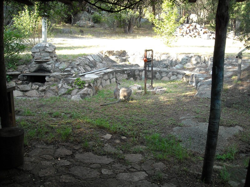 1121 Pyramids Road, Stanthorpe QLD 4380