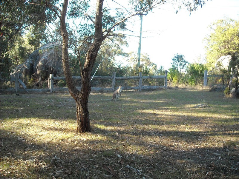 1121 Pyramids Road, Stanthorpe QLD 4380