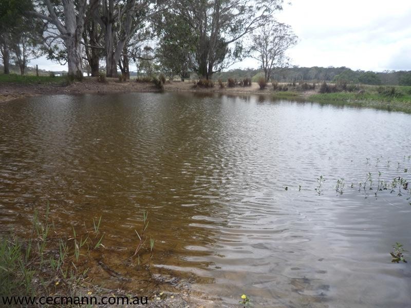 5212 Mount Lindesay Road, Stanthorpe QLD 4380