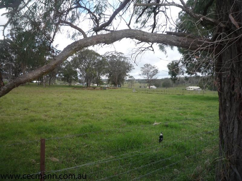 5212 Mount Lindesay Road, Stanthorpe QLD 4380